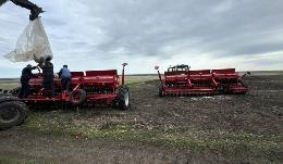 Непогода притормозила весенний сев зерновых 2024 в Чувашии